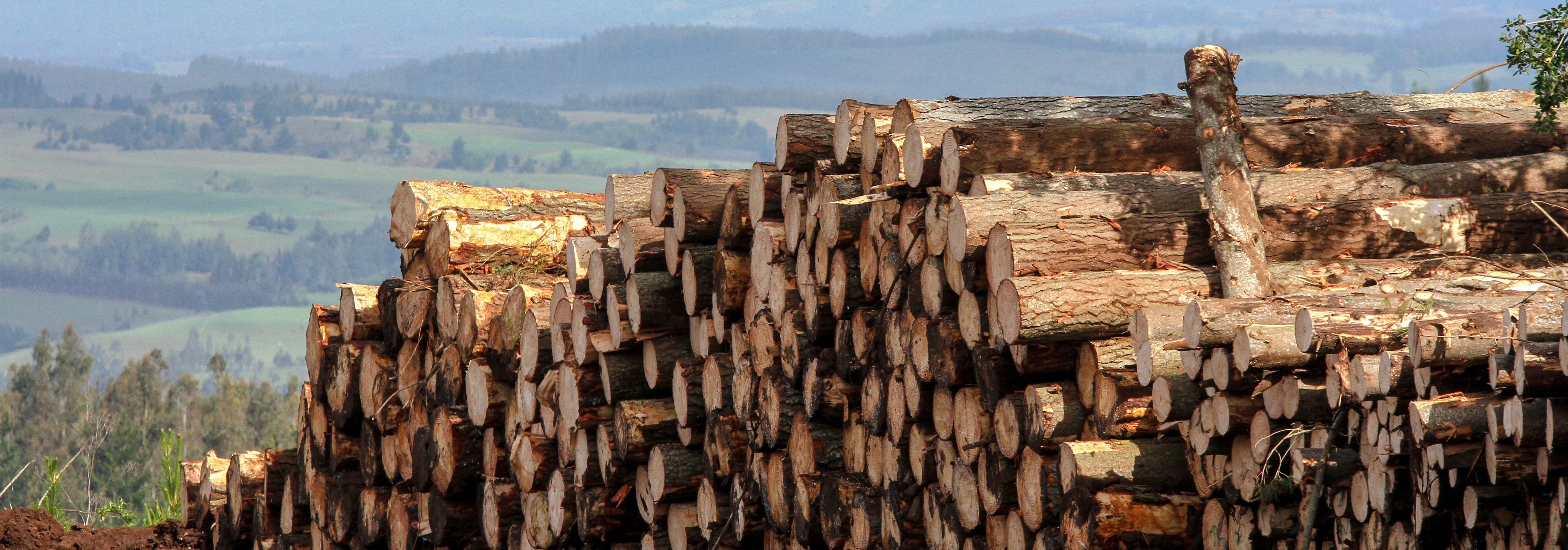 Foham multiplex agent